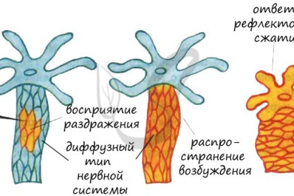 Блэкспрут ссылка клаб